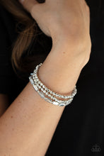 Load image into Gallery viewer, Elegant Essence - Silver B4
